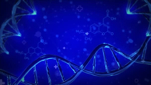 Malla de estructura de moléculas de ADN Wireframe sobre fondo de bucle azul suave. — Vídeos de Stock