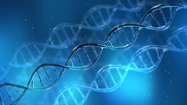 Drahtgestell-DNA-Moleküle strukturieren Maschen auf weichem blauen Schleifenhintergrund 4k. — Stockvideo