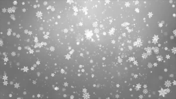 冬の雪と雪白い背景。寒い冬の休日クリスマス — ストック動画