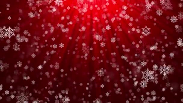 Resumen Copos de nieve voladores sobre un fondo de lazo rojo claro. Copos de nieve de invierno. — Vídeo de stock