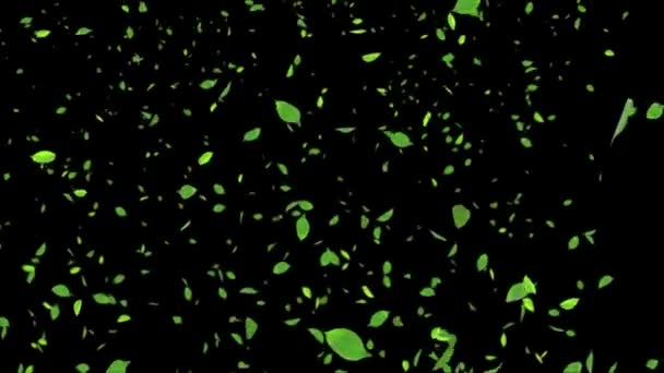 Естественно зеленые листья падают реалистичный 3D альфа канал цикл анимации 3D 4K. Естественная продажа. — стоковое видео