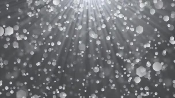 Krásná Bokeh kruhy déšť pád světlo paprsek pomalý pohyb prach částice smyčka pozadí — Stock video