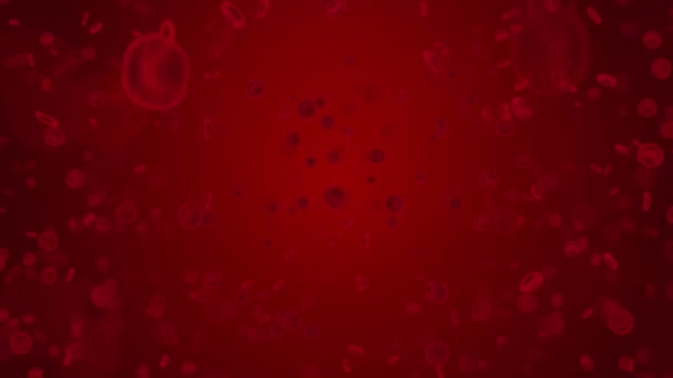 3D globuli rossi 4k animazione Loop in un'arteria, flusso all'interno del corpo, umano medico. — Video Stock