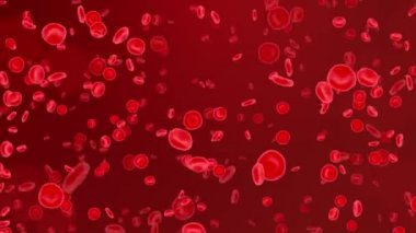 Arterdeki kırmızı kan hücreleri vücudun içine akar, tıbbi sağlık hizmeti 4K 3d Döngü Animasyonu.