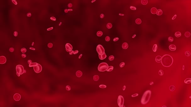 Os glóbulos vermelhos no fluxo de artérias dentro do corpo, cuidados médicos de saúde humana 4K 3d Loop Animação. — Vídeo de Stock