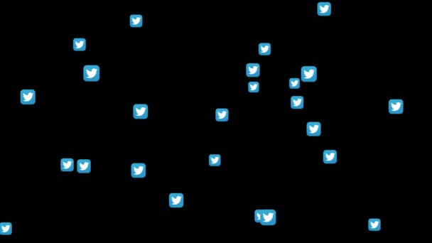 Mídia social Twitter mídia social Voar através de fundo Gerente Loop Animação. Tela verde. — Vídeo de Stock