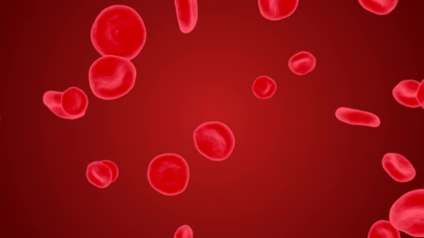 Cellules sanguines circulant lentement à l'intérieur de la veine humaine avec de petites particules Animation de boucle Alpha Channel 3D 4K. — Video
