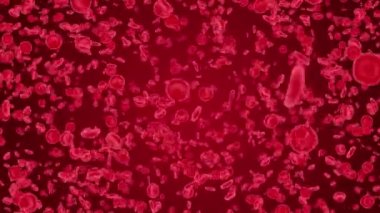 Koyu kırmızı döngüde kan içinde yüzen 3 boyutlu kırmızı kan hücreleri..