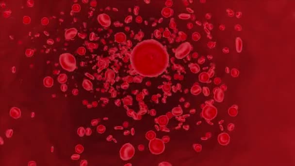 Rode bloedcellen stromen in de menselijke ader. Virus gerelateerde gezondheidsproblemen 4K 3D Alpha Channel loop Animatie. — Stockvideo