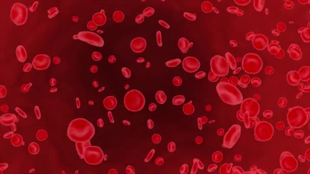 Kırmızı kan hücreleri ve parçacıklar insan vücudu içinde akıyor. Grafik 4K 3D Alfa Kanalı Canlandırması. — Stok video
