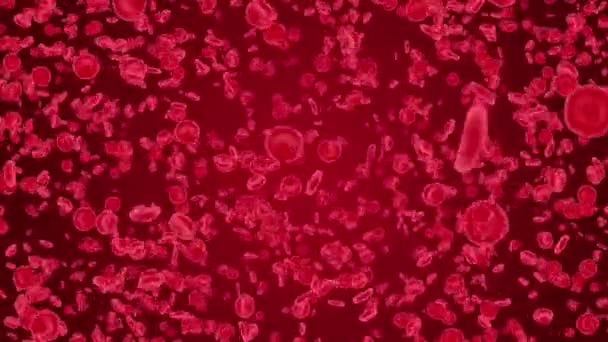 3d Czerwone krwinki pływające przez krew na ciemnoczerwonym tle pętli. — Wideo stockowe