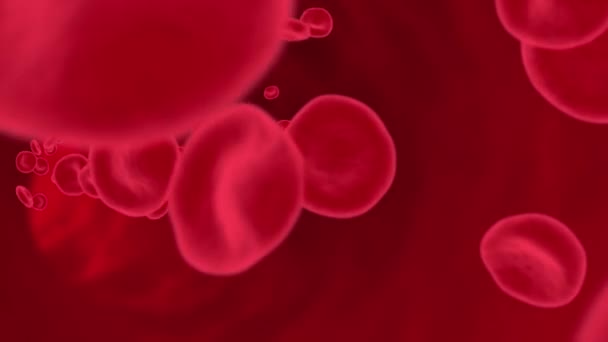 Animacja czerwonych krwinek przepływających przez czerwony tunel pętla kanałów Alpha 4K 3D. — Wideo stockowe