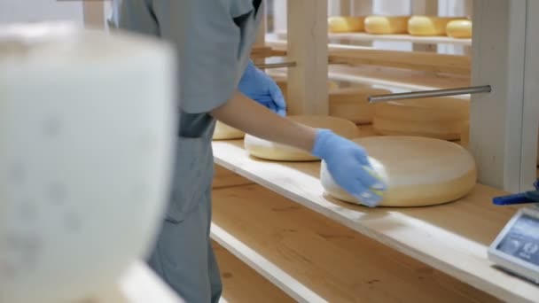 Verpackungsverfahren für Käse. Nahaufnahme der Käseverarbeitung in der Lebensmittelfabrik. — Stockvideo