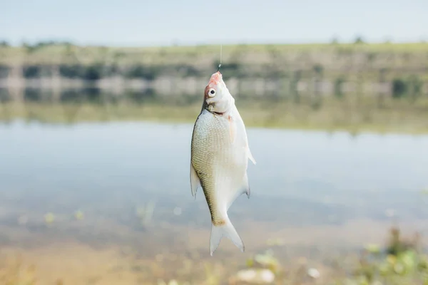 Pescador atrapado un pez en río naturaleza al aire libre sol — Foto de Stock
