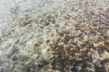 Mavi dalgalar doğa okyanus su arka plan