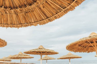 Şezlong ve şemsiye Palm Beach Içinde