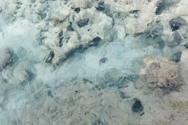 Mavi Deniz arkaplanı