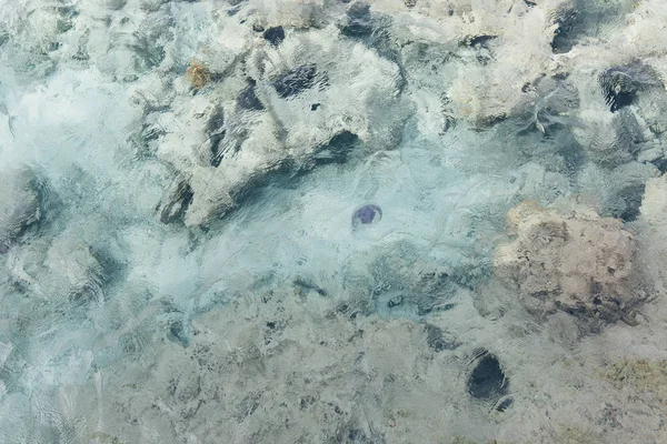 Mavi Deniz arkaplanı