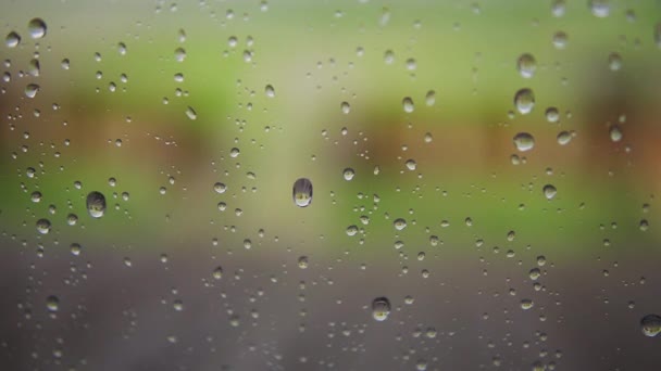 Gotas de lluvia cayendo sobre vidrio — Vídeos de Stock