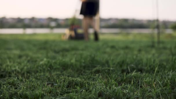 Zelená tráva v zahradě a muž se sekačkou na trávu se blíží v pozadí — Stock video