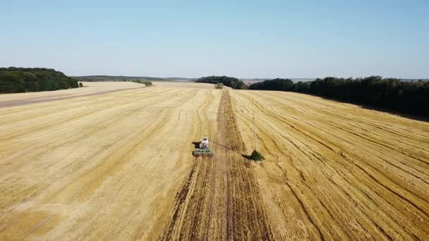 Vidéo aérienne par drone de moissonneuses-batteuses travaillant dans le champ de blé — Video