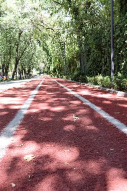 Textured red rubber running track with two white lane lines and dappled shade. Ideal for fitness, athletics, training, marathon or sprint concepts, sport backgrounds, and healthy lifestyle designs.