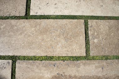 Top view of beige travertine paving slabs with narrow green grass joints. Natural stone texture for background, garden path, landscape design, construction, architecture, web and print use.
