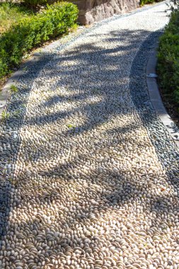 Curved garden path paved with smooth pebbles between trimmed hedges. Useful for landscape design concepts, park promotion, wellness and spa imagery, outdoor planning, background and mockups.