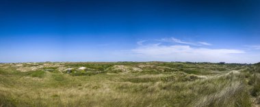 Altından bir yaz günbatımı Hollanda 'nın Schoorlse Duinen şehrinin kumlu ve yemyeşil ormanlarında uzun gölgeler bırakır ve kum tepelerini sıcak, parlak renklerle boyarlar.
