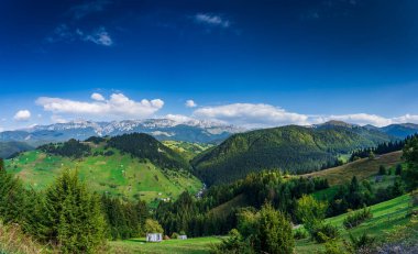Romanya 'nın Brasov kenti yakınlarındaki Moeciu Köyü' nde huzurlu bir sonbahar manzarası. Karpat Dağları 'nın kırsal manzarası sıcak sonbahar renklerinde, yuvarlanan tepelerle, geleneksel ahşap evlerle boyanmıştır.