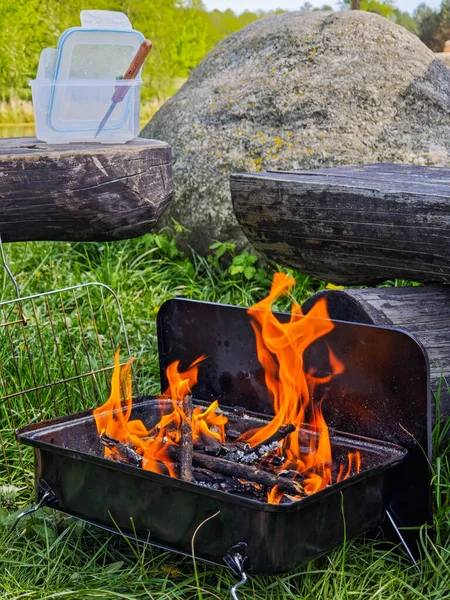 Barbeküye yakın çekim. doğada piknik. Yüksek kalite fotoğraf