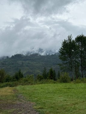 Picturesque landscape of mountains, with the peaks dissolving into the clouds. Vertical background of green nature with a path in the mountainous area. Forest, silence, calm, relaxation,  travel.
