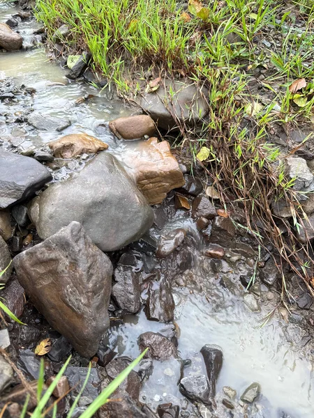 Close-up of a mountain stream after rain. The natural background features damp rocks, muddy current, and wet vegetation, capturing nature in its wild, untamed beauty. Daylight reveals earthy colors and rich natural textures.