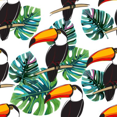 Sorunsuz toucan desen. Kuşlar ile yaz vektör arka plan.