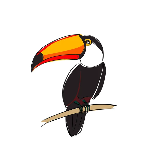 Toucan bird colorful cartoon character. Cute toucan sitting on branch. Flat vector isolated on white.