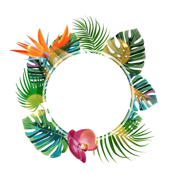 Tropische Pflanzen cicle Design-Vorlage. Paradiesvogel, Monstera, Palmblätter Komposition mit blan space. — Stockvektor
