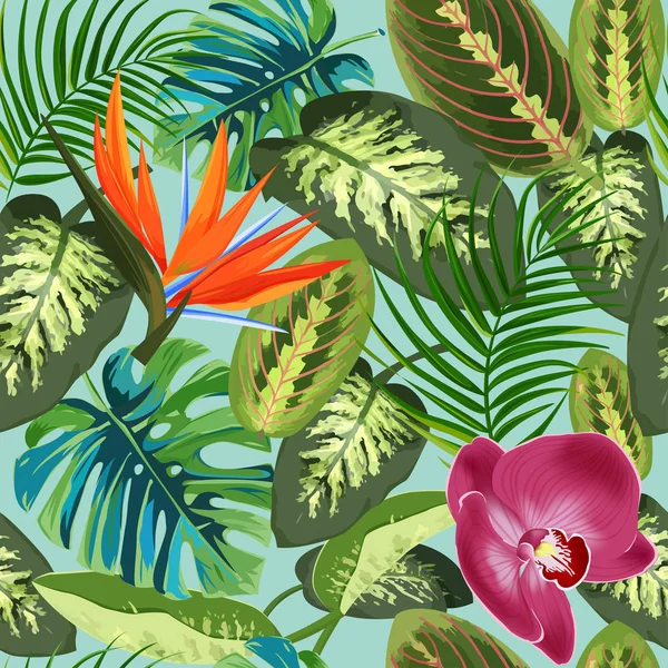 Tropische bladeren van de palm bomen, dieffenbachia en bloemen paradijsvogel strelitzia. Zomer exotische naadloze patroon. — Stockvector
