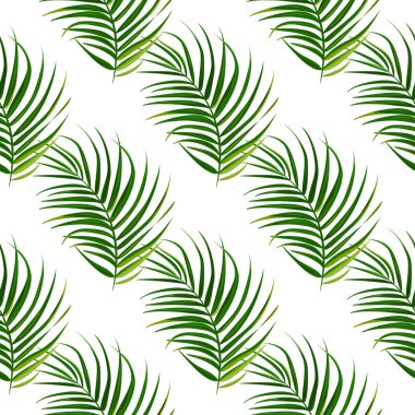 Tropikal palmiye arka plan bırakır. Dikişsiz vektör deseni.