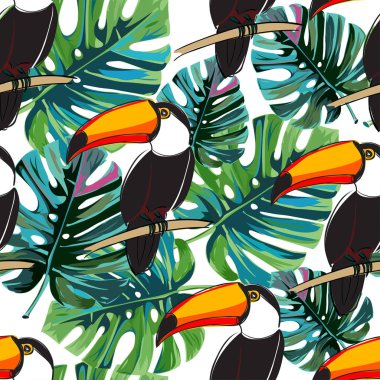 Dikişsiz toucan deseni. Kuş ve tropikal yaprakları monstera ile Yaz vektör arka plan.