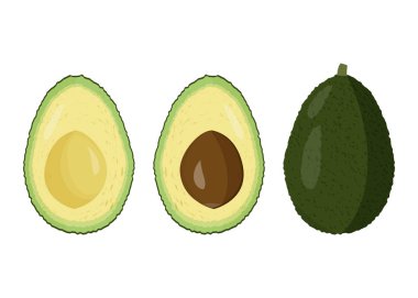Taze avokado vektör illutration. Çiğ meyve kesilmiş ve bütün bir.