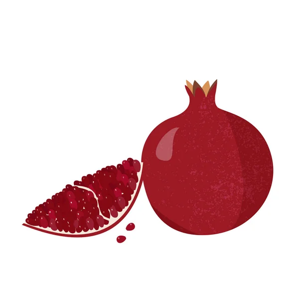 Fresh pomegranate illustration. Whole fruit and piece with bones.