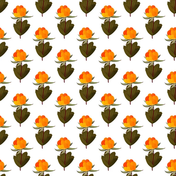 Fresh cloudberry background. Whole forest berries seamless pattern.
