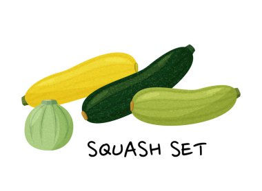 Beyaz arkaplanda yeşil ve sarı kabaklar var. Vektör gerçekçi koleksiyonu.