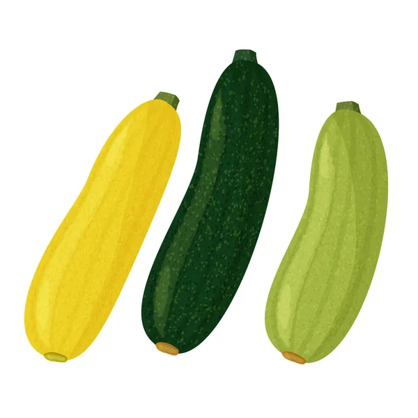 Calabaza verde y amarilla y calabacín sobre fondo blanco. Recolección de comida realista vectorial. — Vector de stock