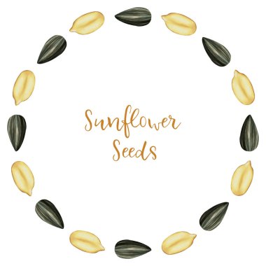 Elle boyanmış ayçiçeği tohumu çelengi. Tohumlar. Davetiyeler, mevsimlik kartlar, düğün süslemeleri ve kırsal dekorlar için mükemmel..