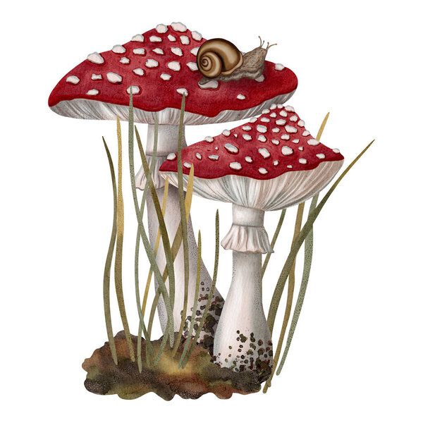 Watercolor illustration of fly agaric with autumn leaves, berries. Autumn still life. Children's illustration. Suitable for books, packaging, postcards and children's clothing.