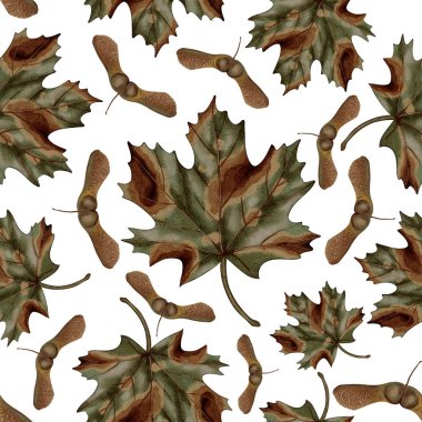 Toprak sonbahar tonlarında akçaağaç yaprakları ve tohumlardan oluşan pürüzsüz bir el çizimi desen. Sonbahar hala hayattır. Çocuk çizimi. Kitaplar, ambalajlar, kartlar ve çocuk kıyafetleri için uygun