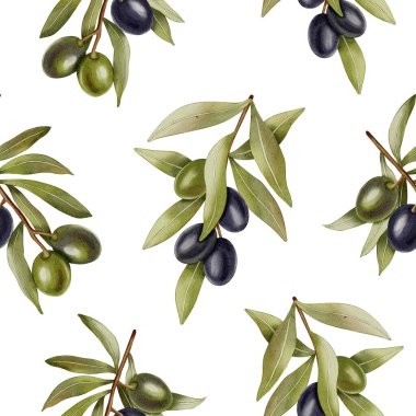 Elle boyanmış, dikişsiz, yeşil ve siyah zeytin dalları ve yapraklarıyla. Zeytin dalları, yapraklar ve meyveler. Menü, ambalaj tasarımı, düğün için