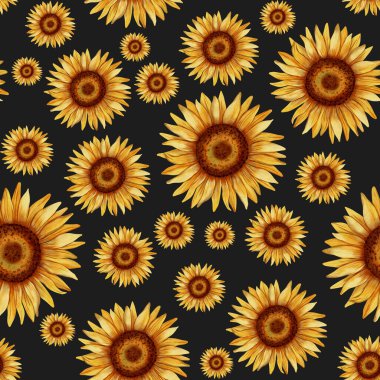 Uzun ayçiçekleri ve yeşil yaprakları olan kusursuz suluboya deseni. Tekstil tasarımı, ambalaj, duvar kağıdı ve ekolojik ürünler için harika.