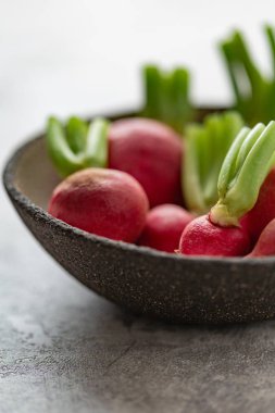 taze organik kırmızı turp